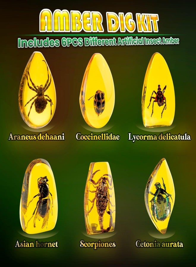 GobiDex Amber Dig Kit-Artificial Insect Resin, Excavate 6 Insects Specimens, STEM Geographic Educational Bugs Toys, Excavation Toys for Fun Bugs Party Favors, Science Kits for Kids Age 6-8 8-12 - Image 2